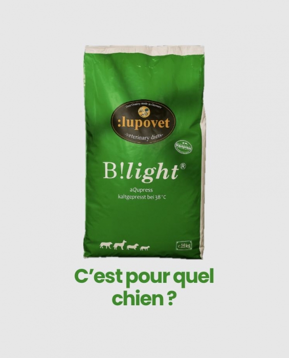 B !Light