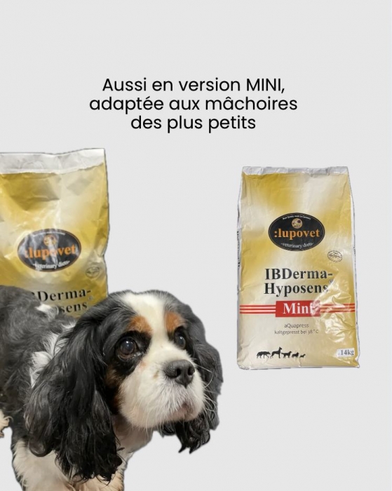 IBDerma Hyposens