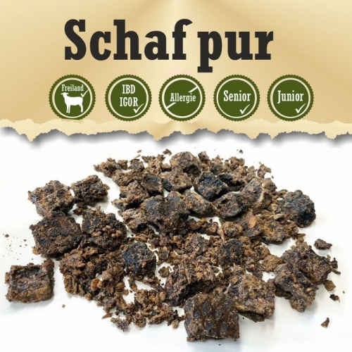 Schaf pur